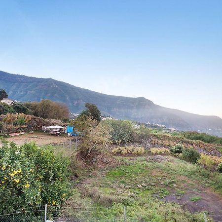 Casita Rural La Pinera Villa Los Realejos Bagian luar foto