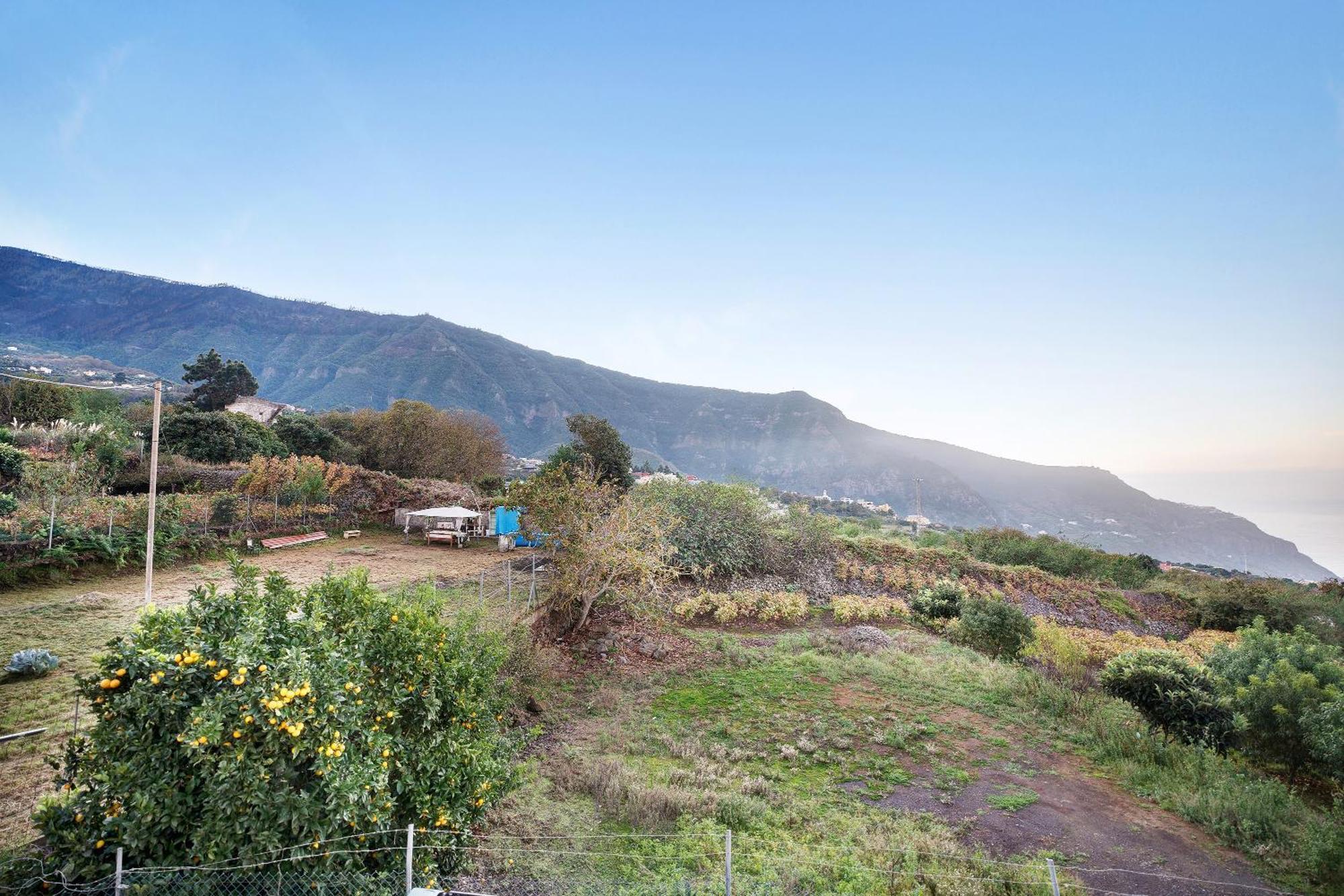 Casita Rural La Pinera Villa Los Realejos Bagian luar foto